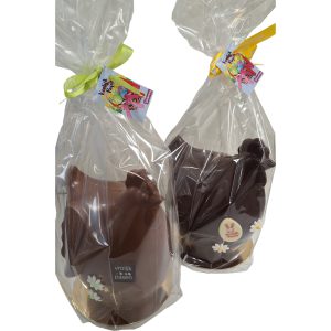 Grote chocolade kip melk of puur*